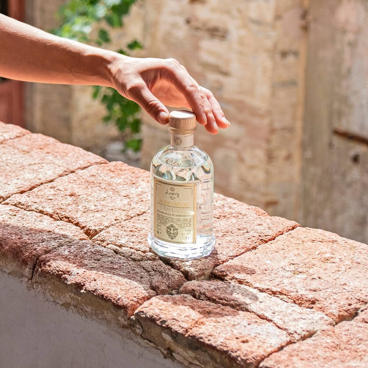 Home Diffuser Logevy Apricot and Basil Home Fragrance Brand