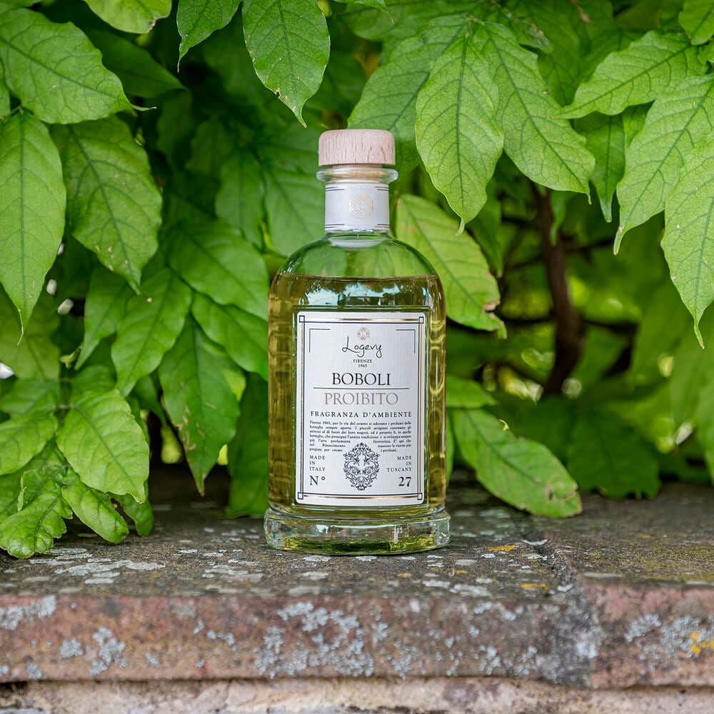 Home Diffuser Logevy Boboli Forbidden Home Fragrance Brand