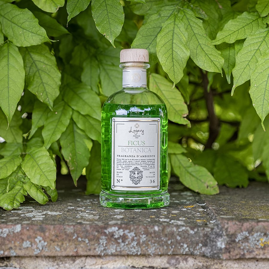 Home Diffuser Logevy Ficus Botany Home Fragrance Brand